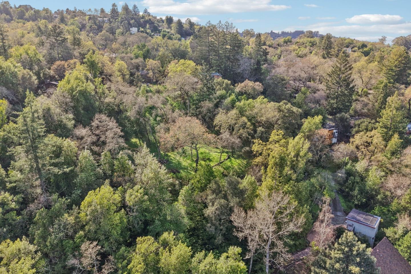 145 Foxwood Road Portola Valley, CA 94028 - Photo 7 of 9