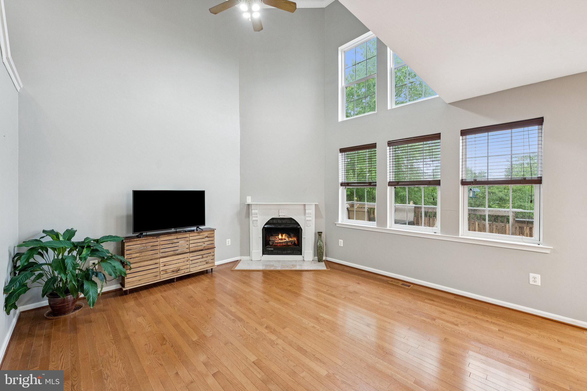14387 Newbern Loop Gainesville, VA 20155 - Photo 3 of 38 a view of livingroom with furniture and a fireplace