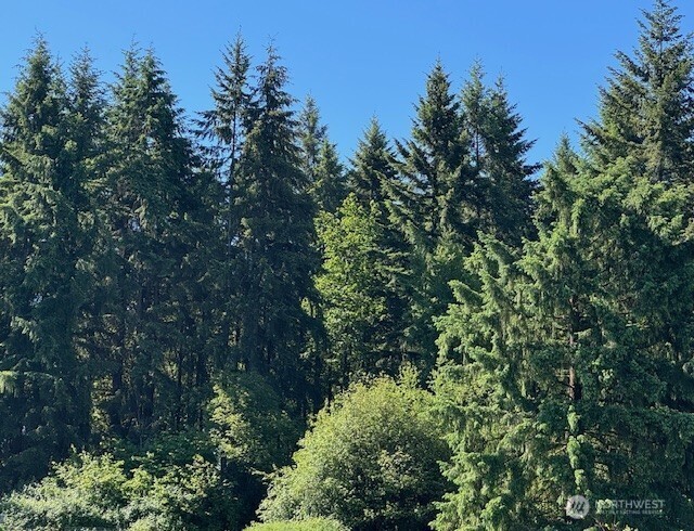 692-24 Burchett Road Onalaska, WA 98570 - Photo 11 of 12
