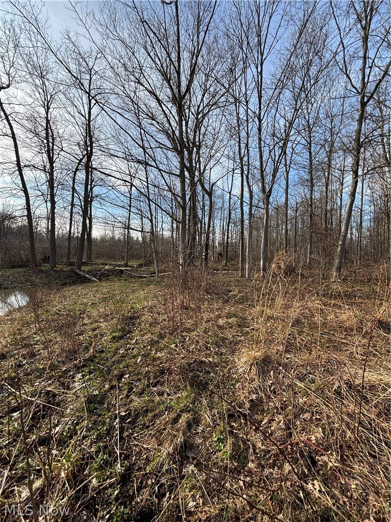 0 Fowlers Mill Road Chardon, OH 44024 - Photo 17 of 18 Gallery Image 17