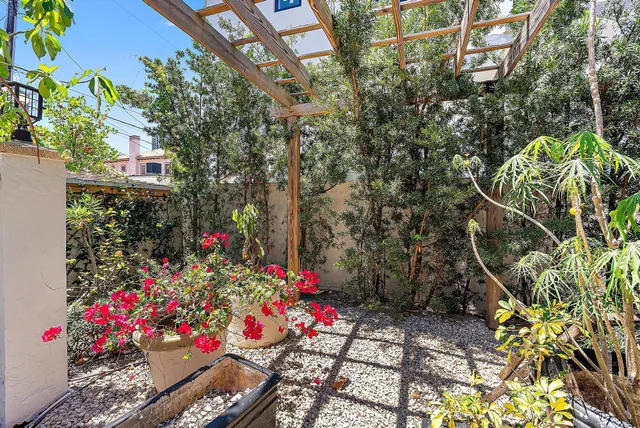 a picture of flowers