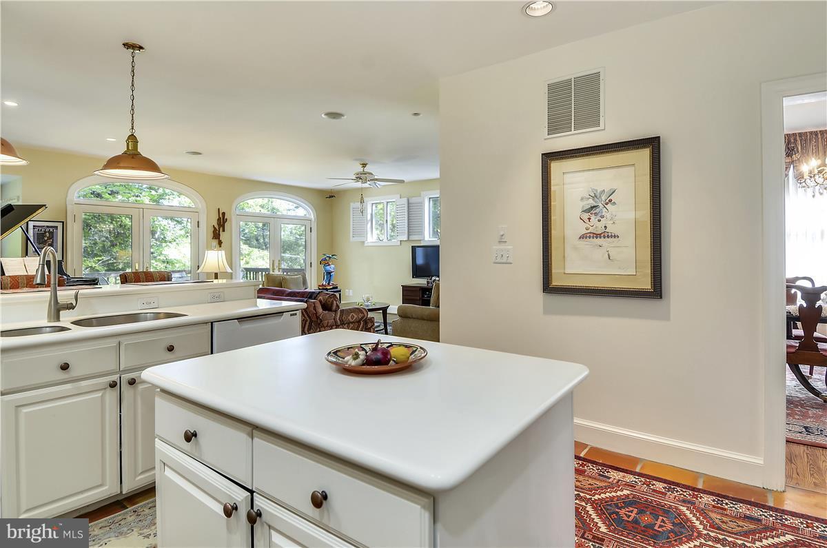 309 Rucker Place Alexandria, VA 22301 - Photo 9 of 29 Lots of cabinet & counter space