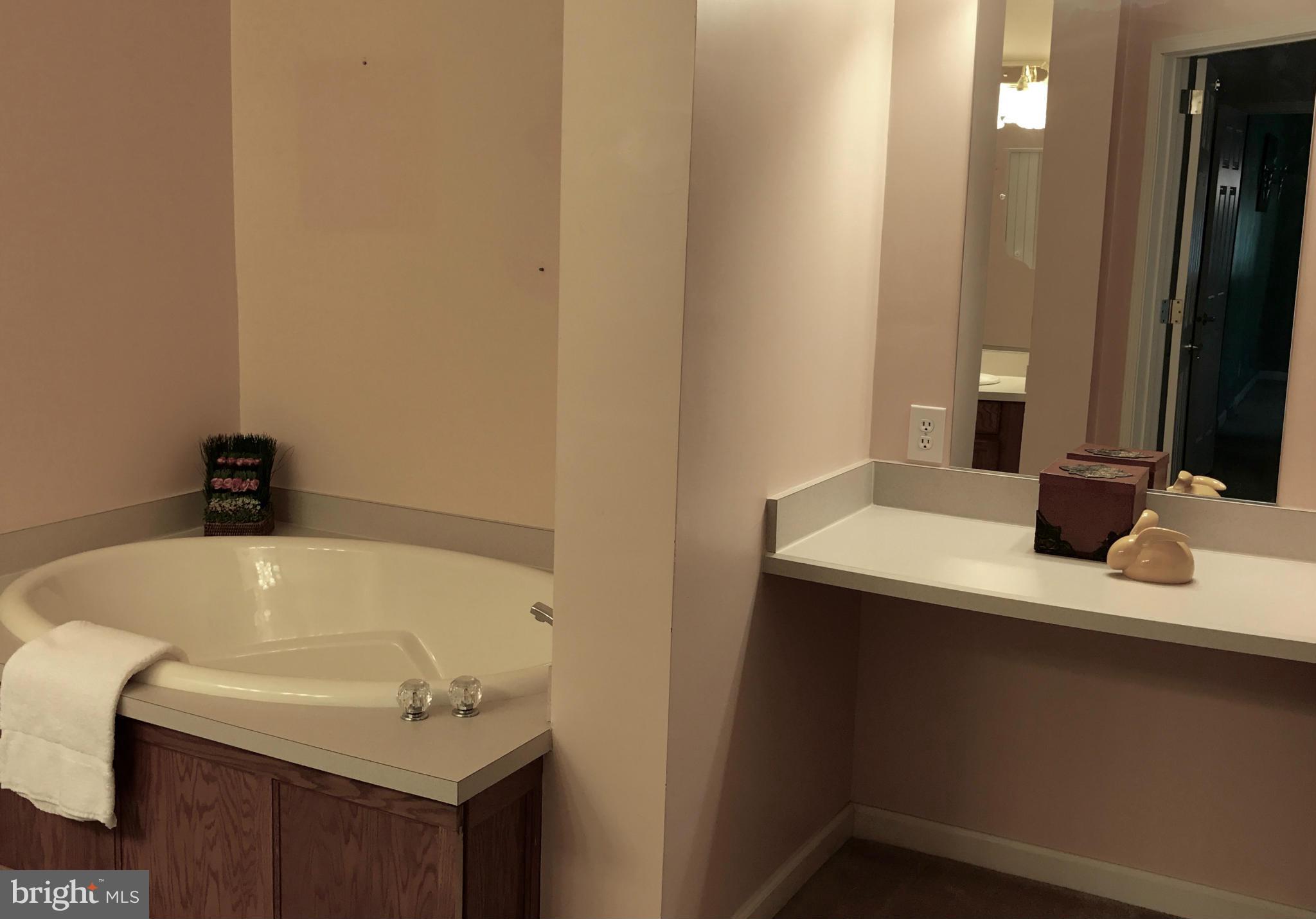 6128 Goode Road Hughesville, MD 20637 - Photo 16 of 29 Bath (Master)