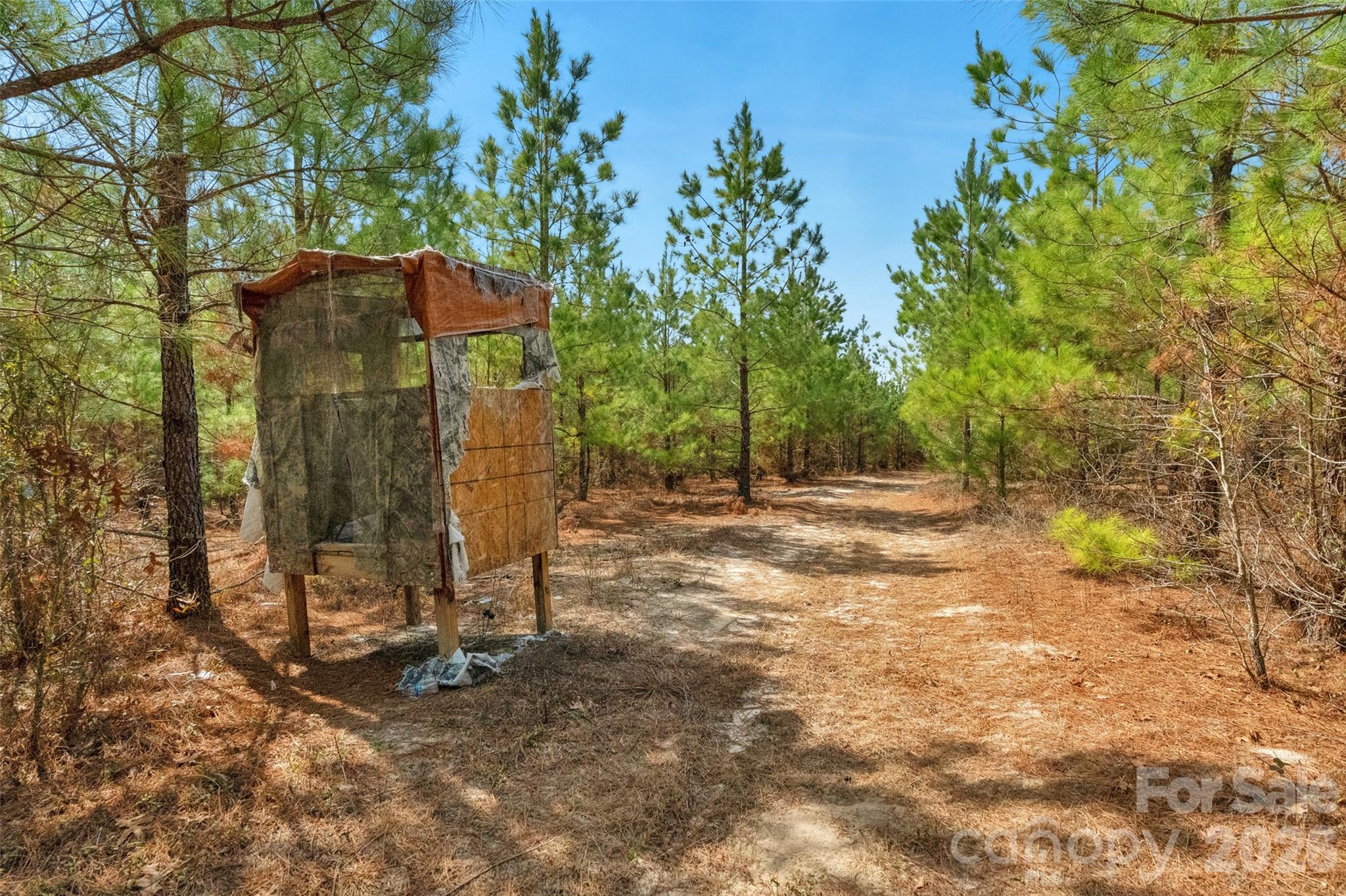 931 Charlie Johnson Road, Unit 5 Kershaw, SC 29067 - Photo 32 of 38 Gallery Image 32