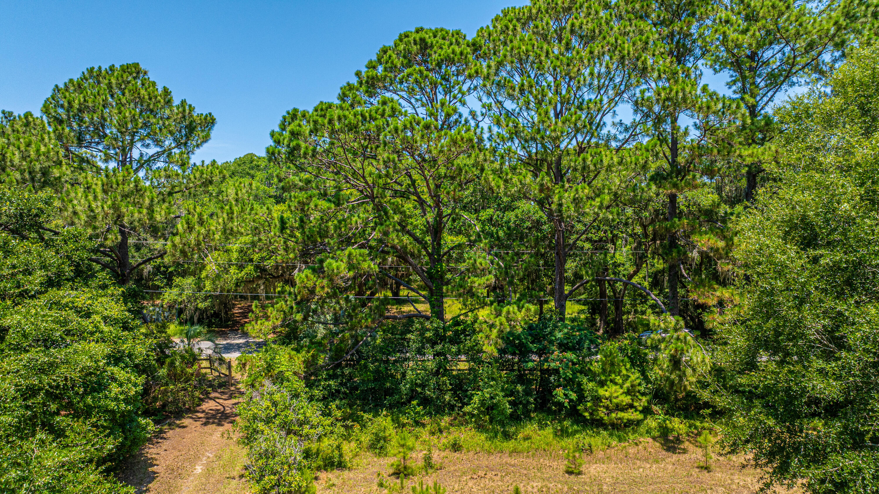 6589 Bears Bluff Road Wadmalaw Island, SC 29487 - Photo 44 of 49 6589BearsBluffRd015