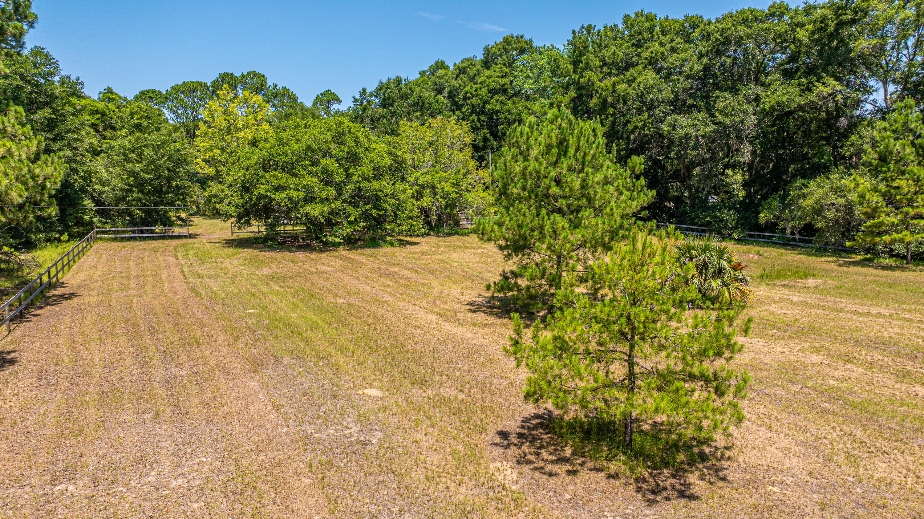 6589 Bears Bluff Road Wadmalaw Island, SC 29487 - Photo 47 of 49 6589BearsBluffRd004