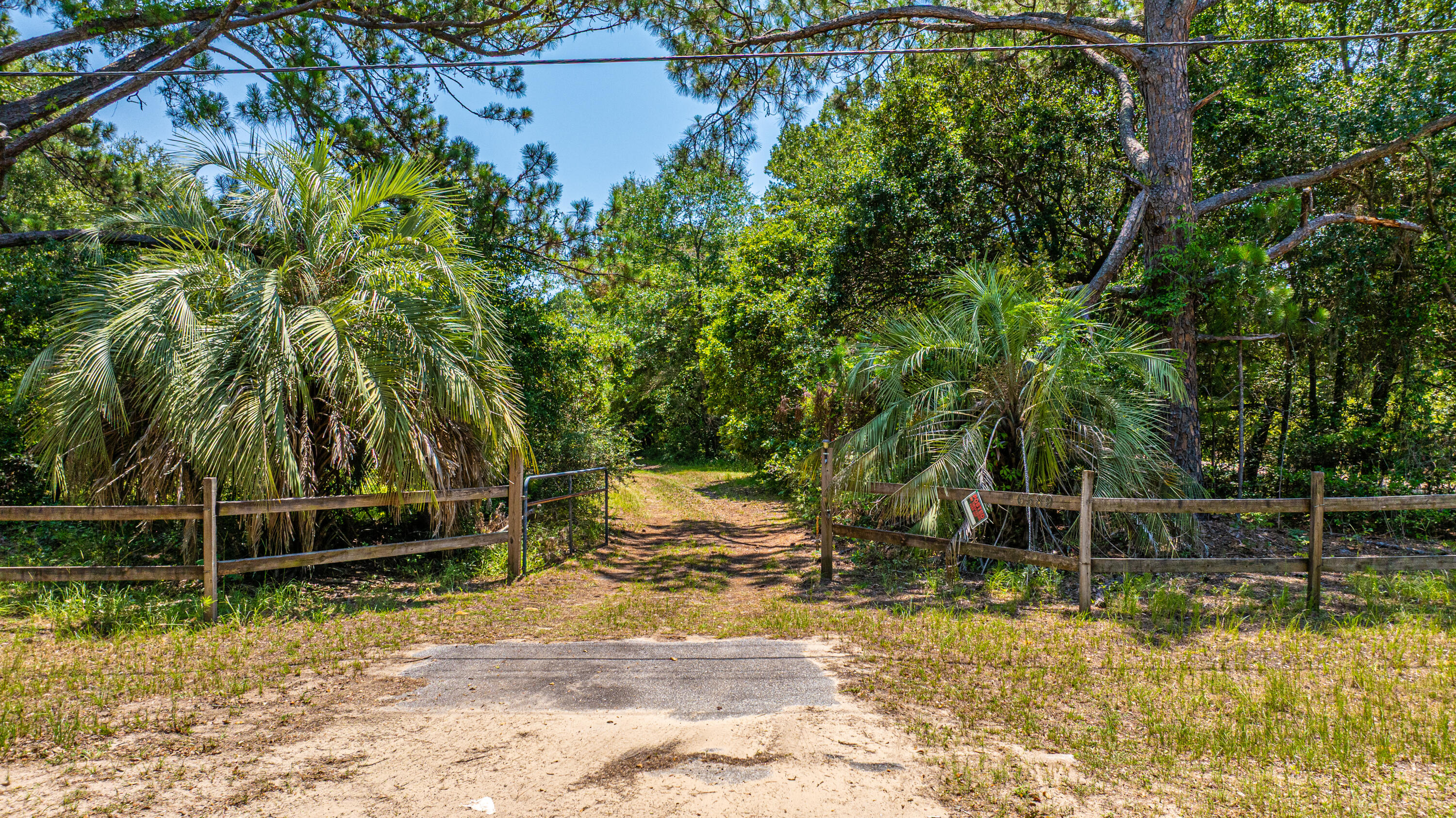 6589 Bears Bluff Road Wadmalaw Island, SC 29487 - Photo 49 of 49 6589BearsBluffRd001
