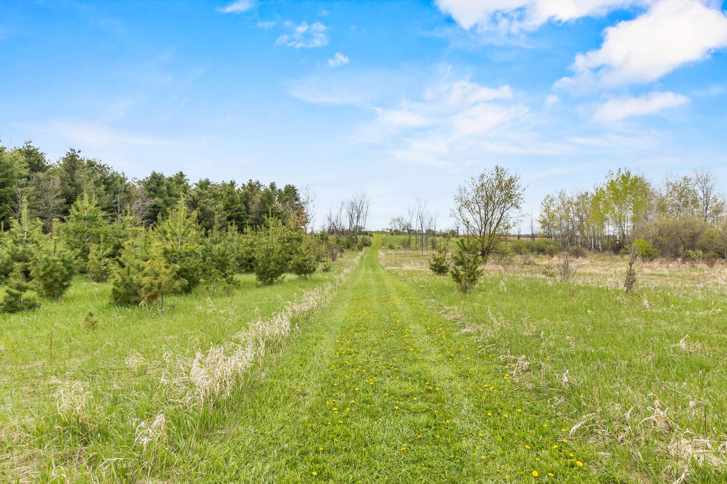 W7828 Hillview Road Hortonville, WI 54944 - Photo 59 of 66