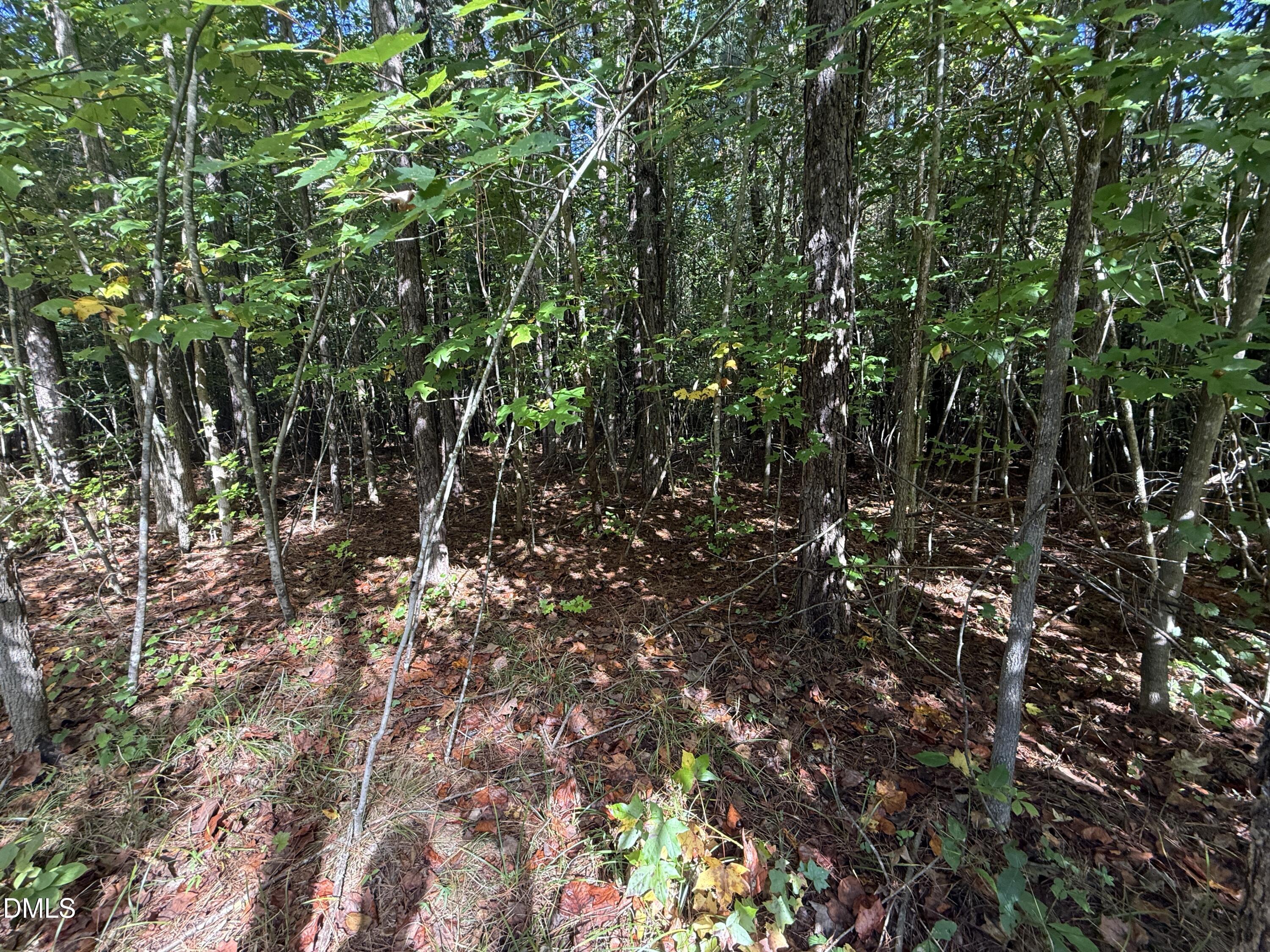 1664 Garrett Farm Road Stem, NC 27581 - Photo 4 of 4 image3