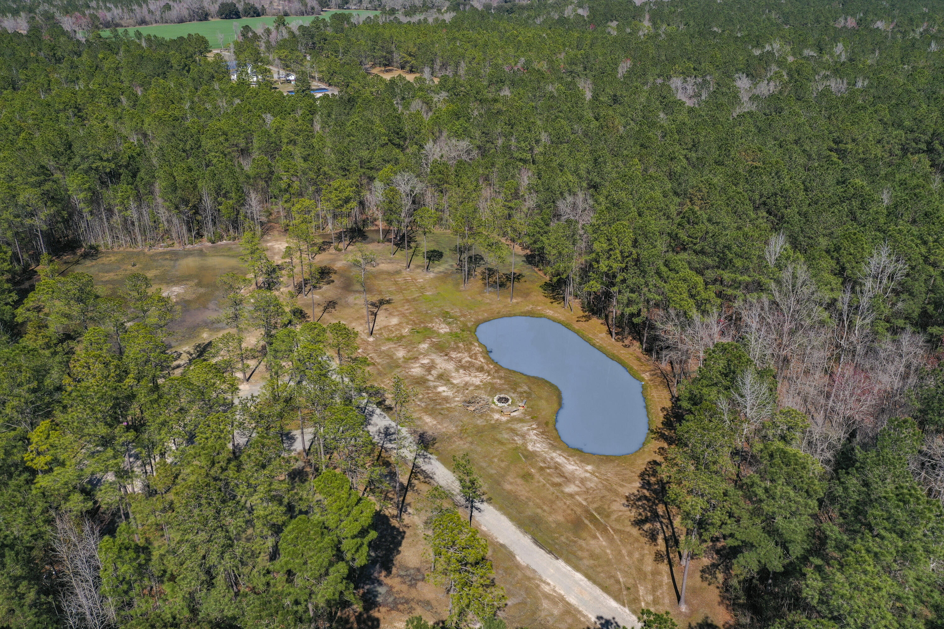 179 Myers Mayo Road, Unit LOT 1 Ridgeville, SC 29472 - Photo 14 of 16 Myers Mayo pond