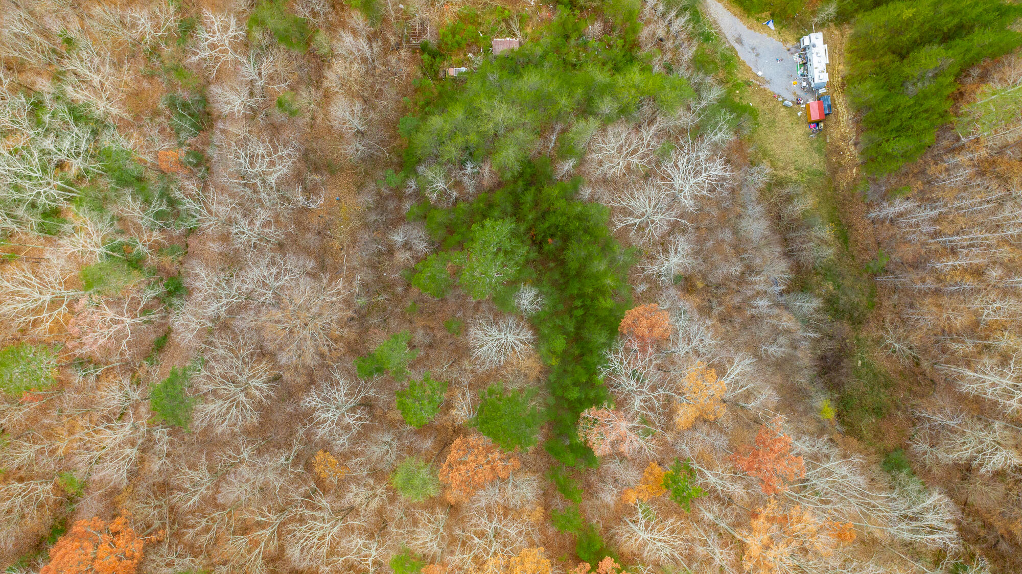 0 Slygo Road Trenton, GA 30752 - Photo 11 of 36 Slygo Road Lot Aerials HD-4