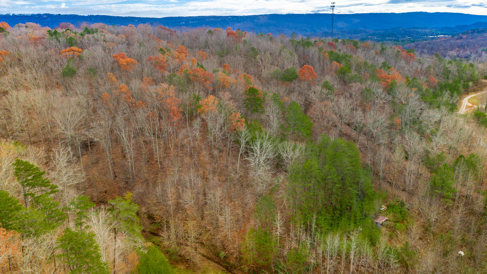 0 Slygo Road Trenton, GA 30752 - Photo 24 of 36 Slygo Road Lot Aerials HD-18