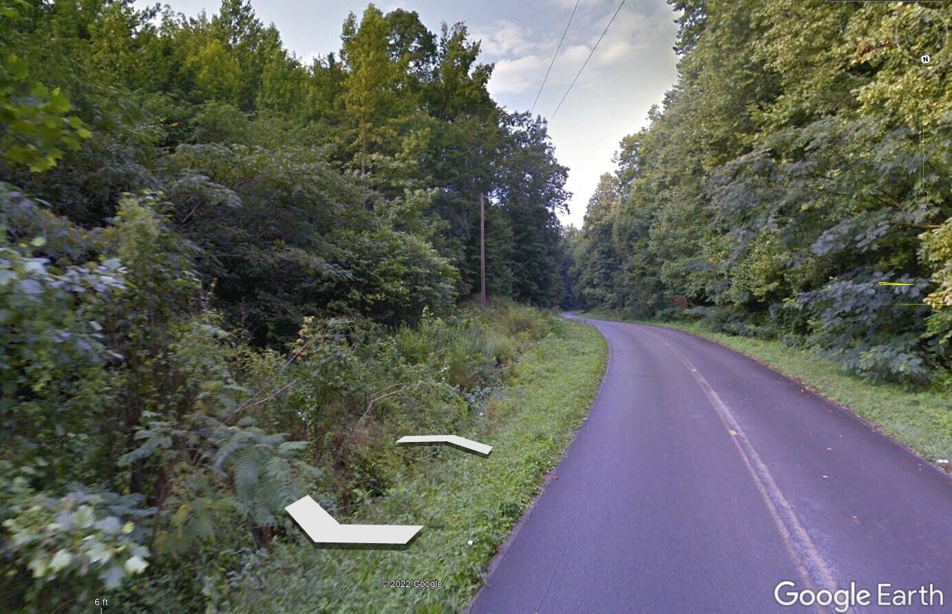 0 Slygo Road Trenton, GA 30752 - Photo 3 of 36 Street view