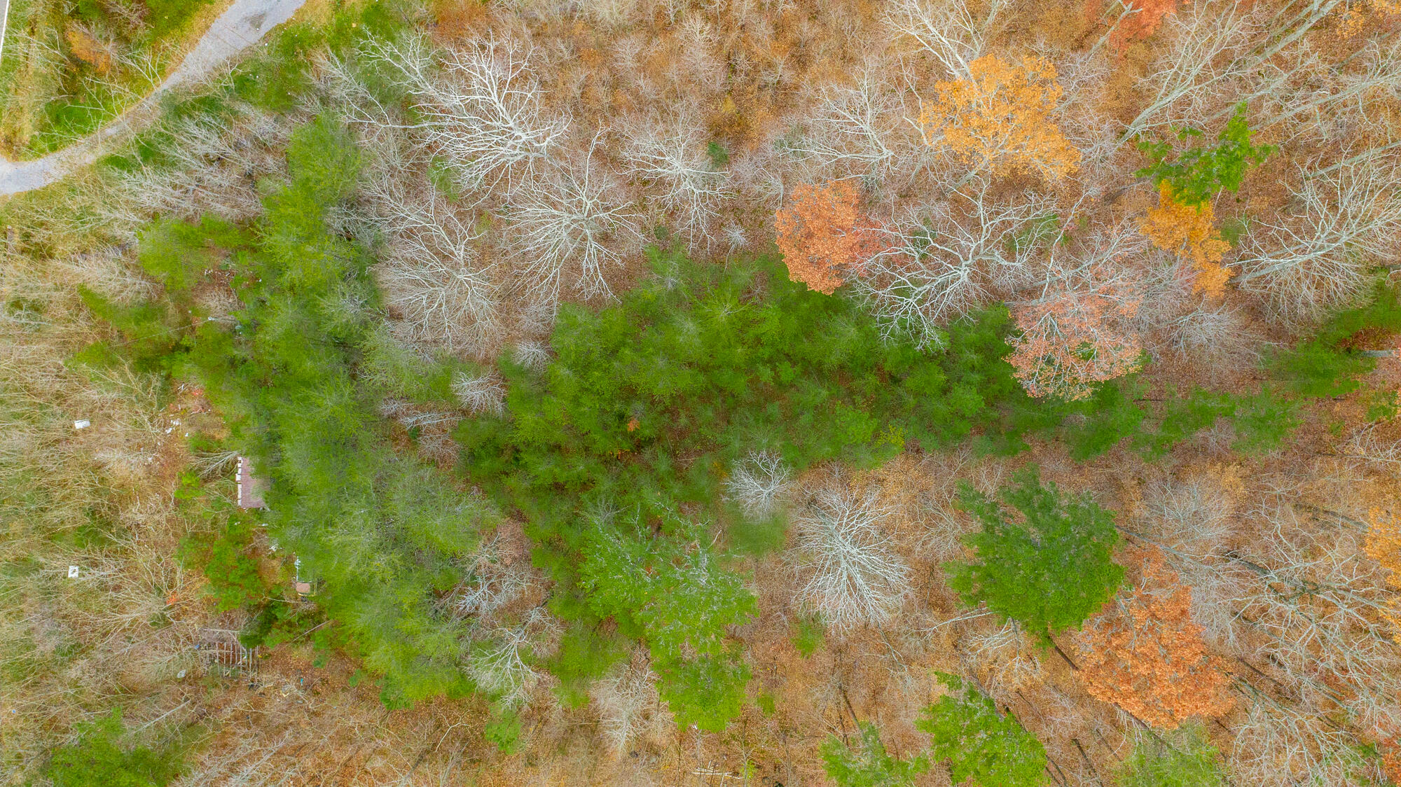 0 Slygo Road Trenton, GA 30752 - Photo 32 of 36 Slygo Road Lot Aerials HD-26