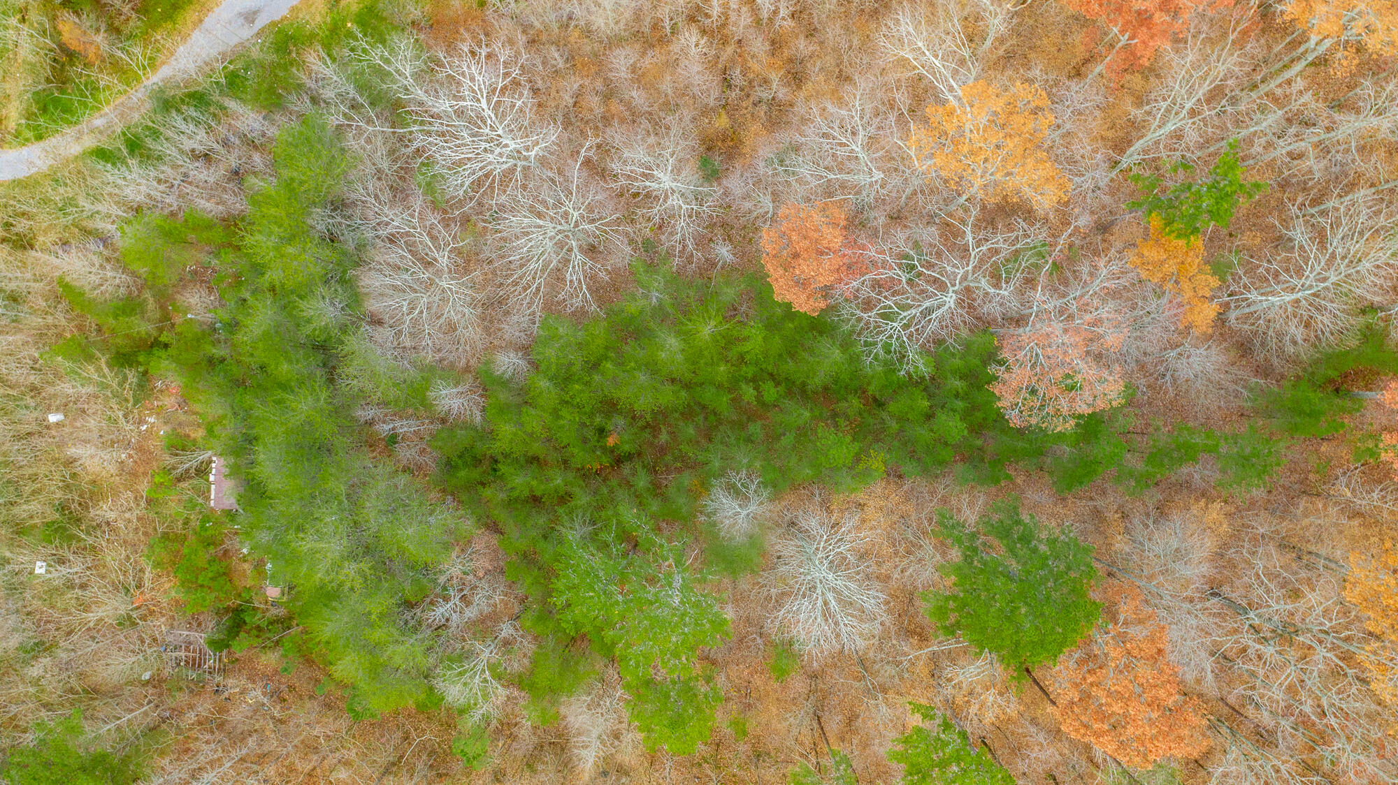 0 Slygo Road Trenton, GA 30752 - Photo 33 of 36 Slygo Road Lot Aerials HD-27