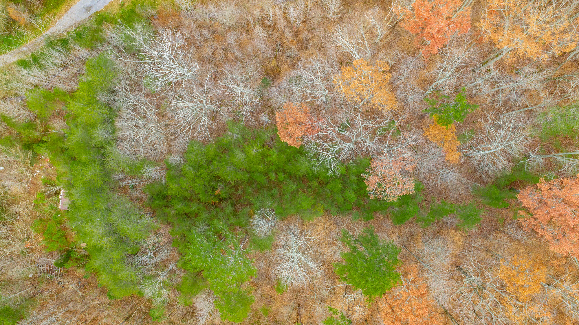 0 Slygo Road Trenton, GA 30752 - Photo 34 of 36 Slygo Road Lot Aerials HD-28