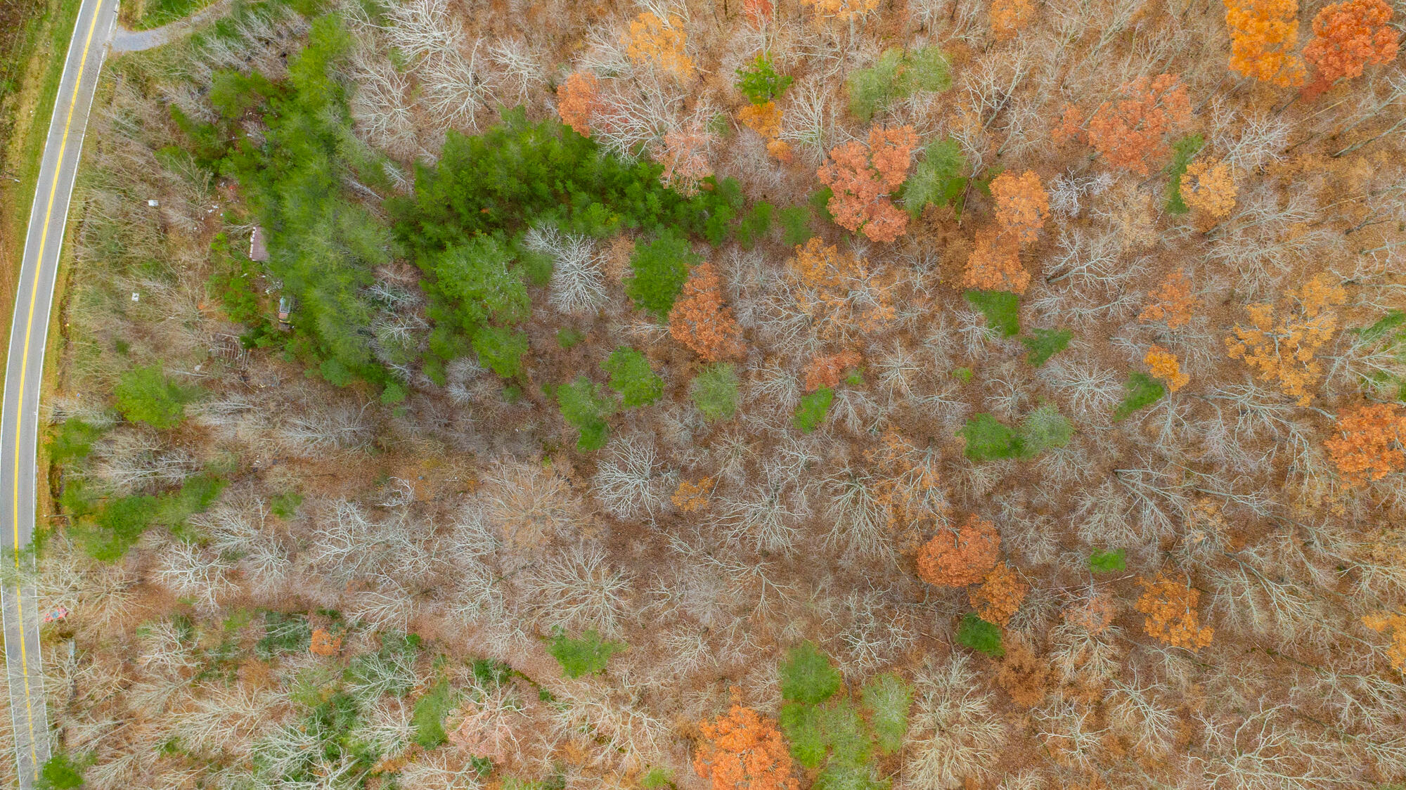 0 Slygo Road Trenton, GA 30752 - Photo 8 of 36 Slygo Road Lot Aerials HD-1