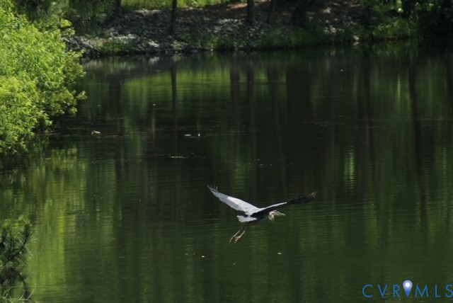 15220 River Road Chesterfield, VA 23838 - Photo 53 of 65 Flying over the lake