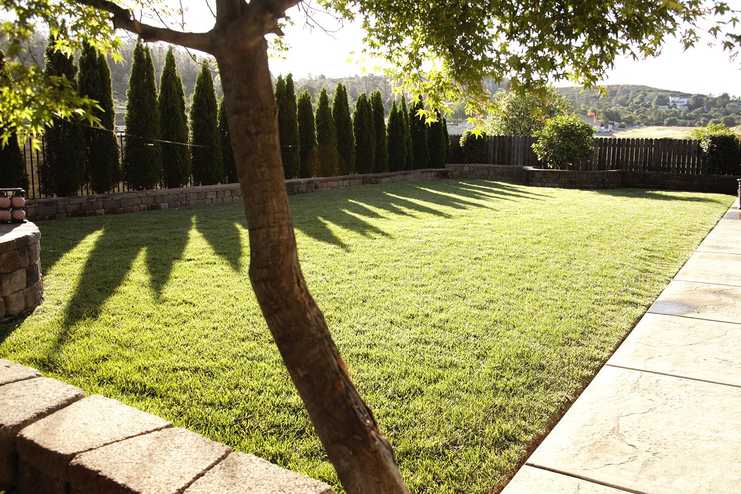 3189 Boeing Road Cameron Park, CA 95682 - Photo 52 of 67