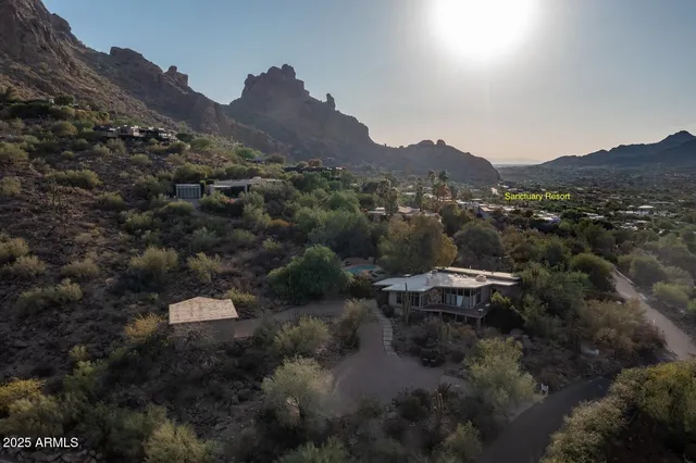 a view of a lot of trees in a field