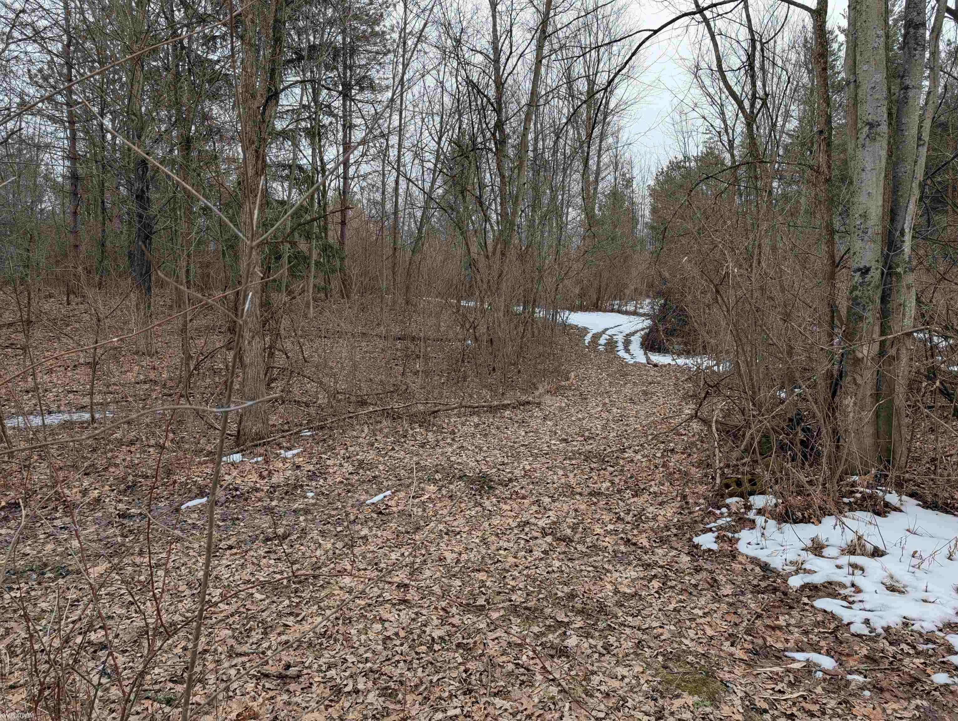 9072 Green Road Goodells, MI 48027 - Photo 66 of 73