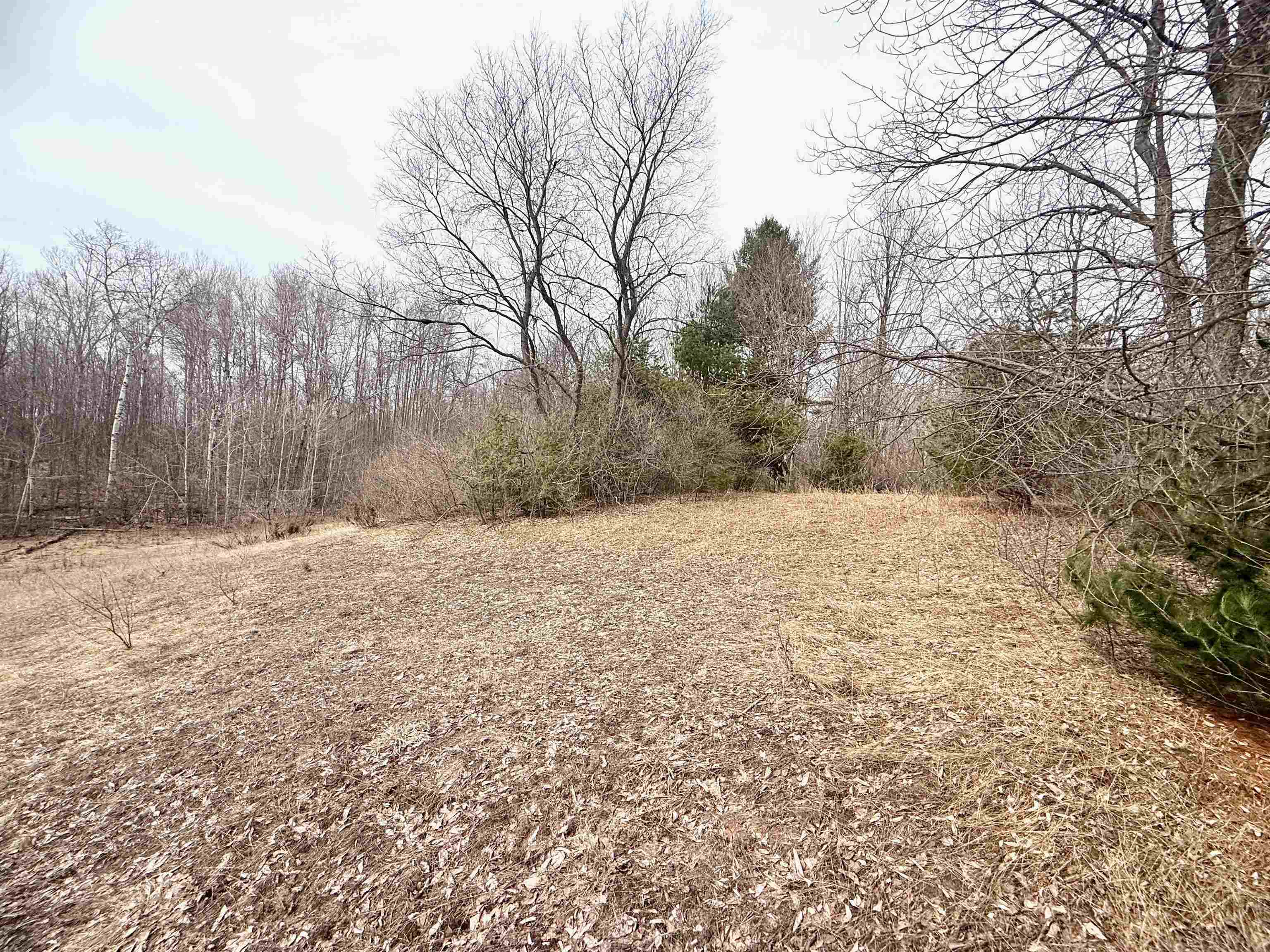 0 West Trumbull Road, Unit LOT B Maple City, MI 49664 - Photo 5 of 25