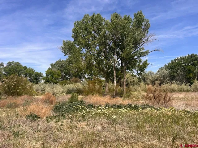 a view of lake with green space