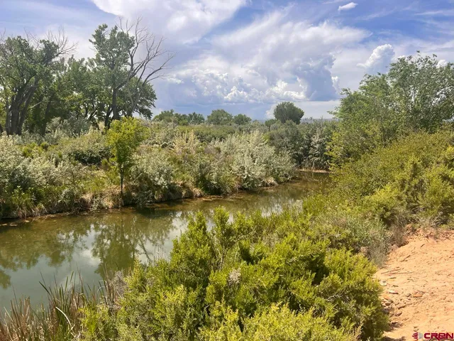 a view of lake with green space