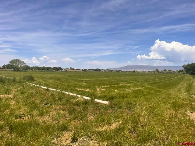 a view of an ocean and a city