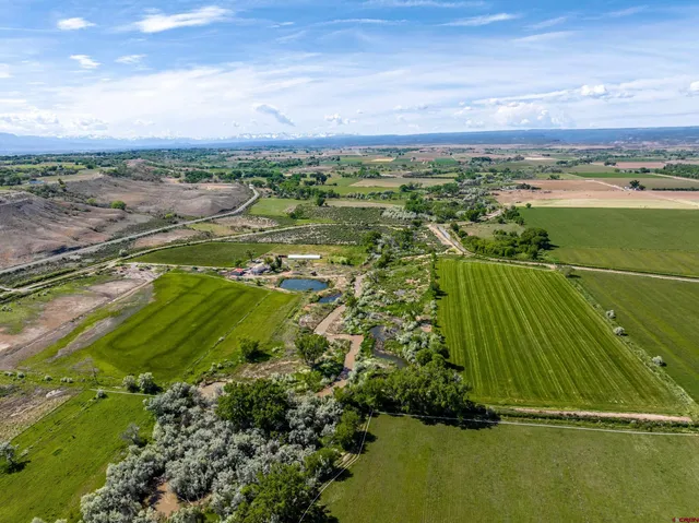 a view of a city with ocean view