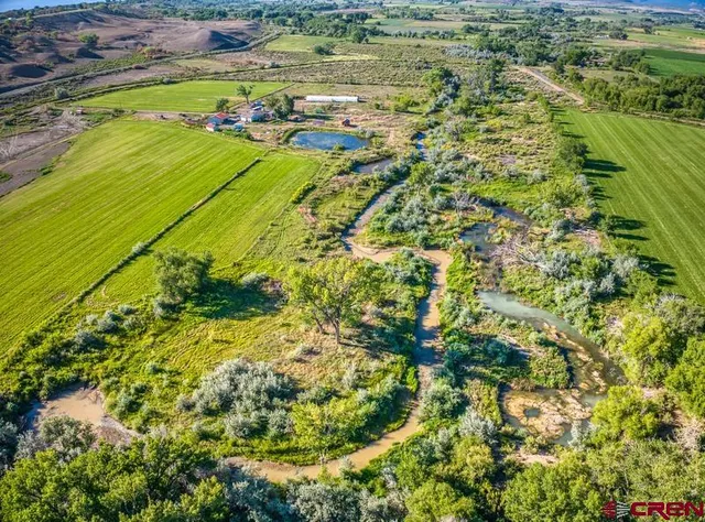 a view of a yard with an outdoor space