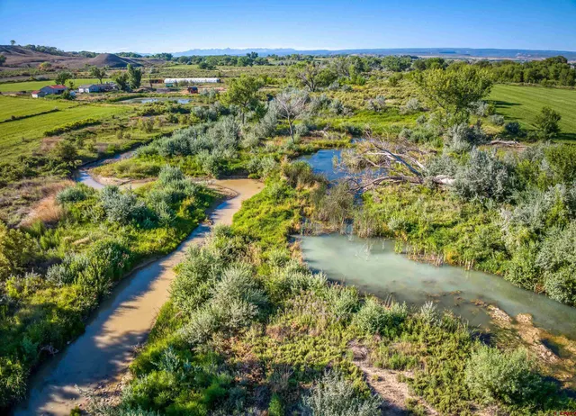 a view of a garden with an outdoor space