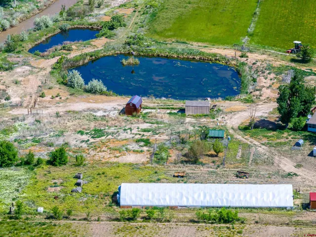 a view of a yard with an outdoor space