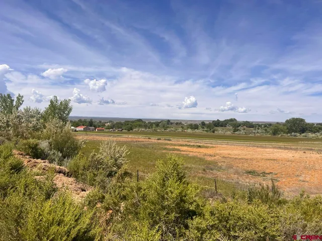 a view of a city with an ocean