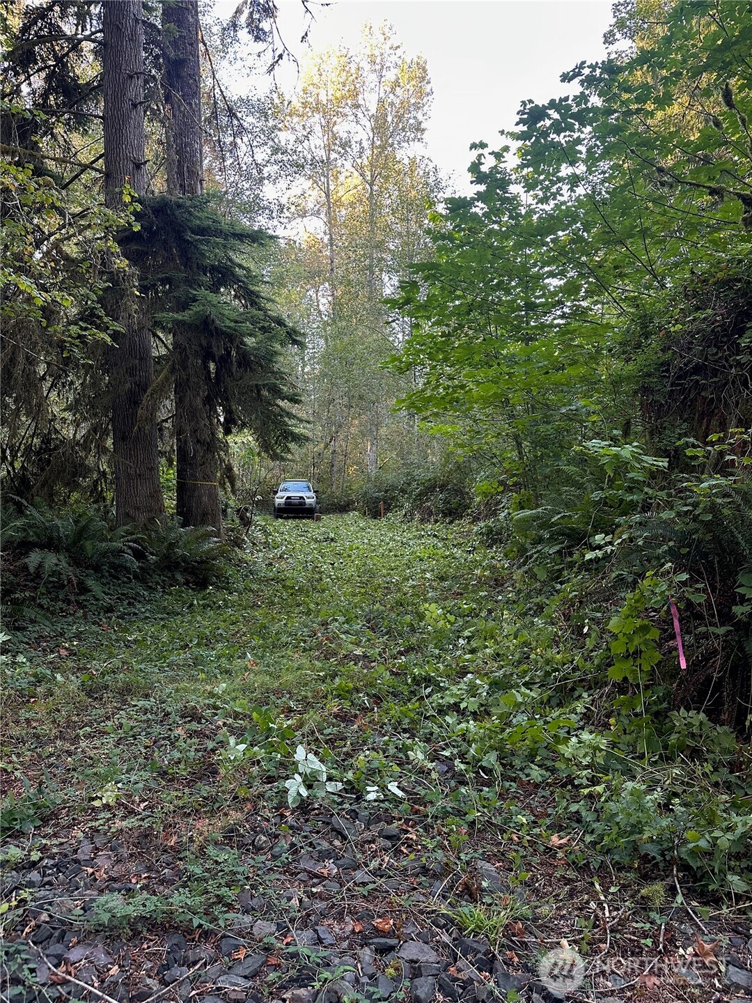358-xx Northeast Moss Lake Road Carnation, WA 98014 - Photo 11 of 31 a big yard with lots of green space and house