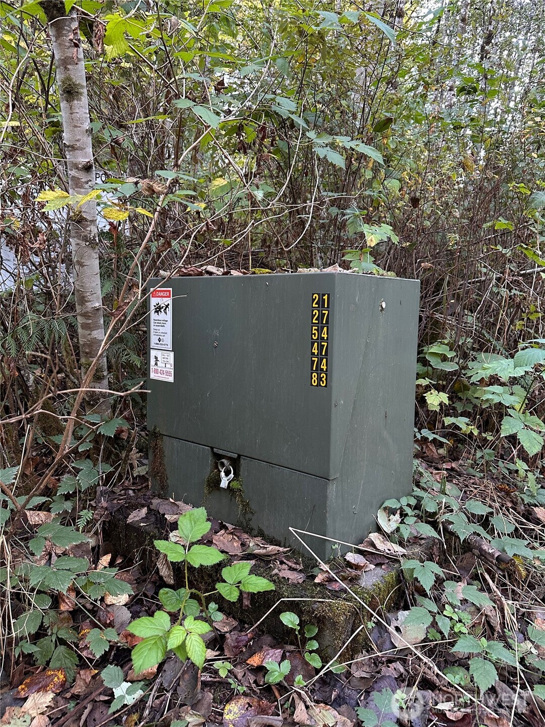 358-xx Northeast Moss Lake Road Carnation, WA 98014 - Photo 16 of 31 a view of a yard