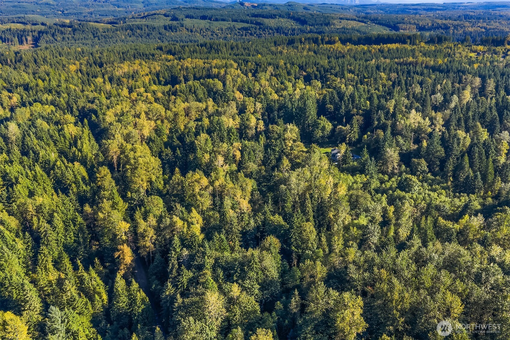 358-xx Northeast Moss Lake Road Carnation, WA 98014 - Photo 17 of 31 a view of a forest with a lush green forest