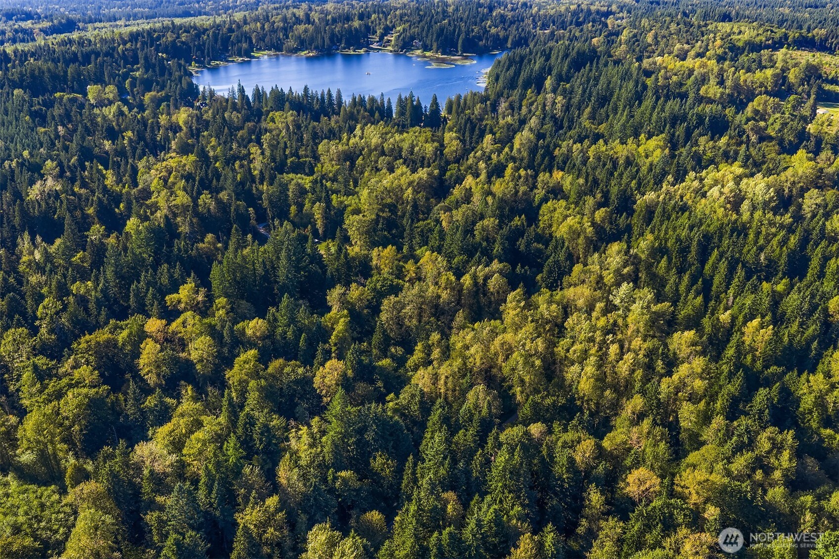358-xx Northeast Moss Lake Road Carnation, WA 98014 - Photo 18 of 31 a view of a bunch of trees and bushes