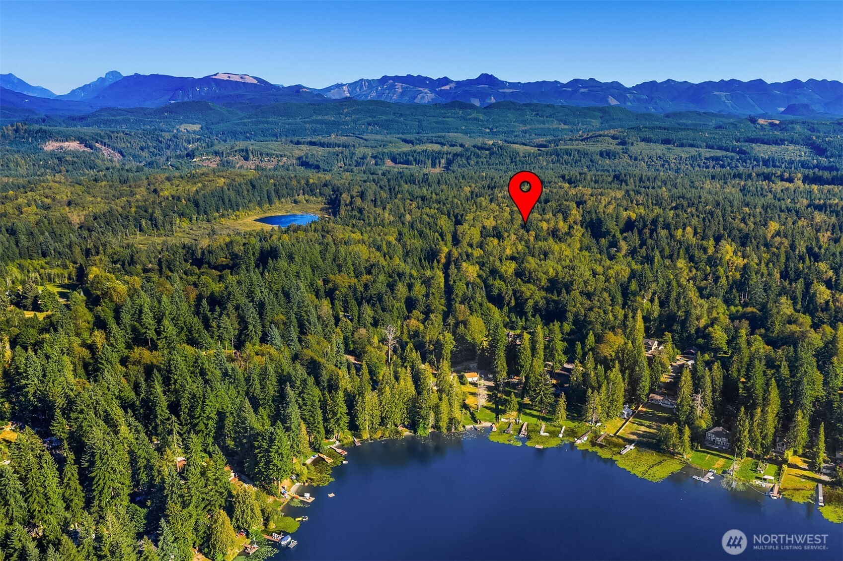 358-xx Northeast Moss Lake Road Carnation, WA 98014 - Photo 2 of 31 a view of a lush green hillside and a houses