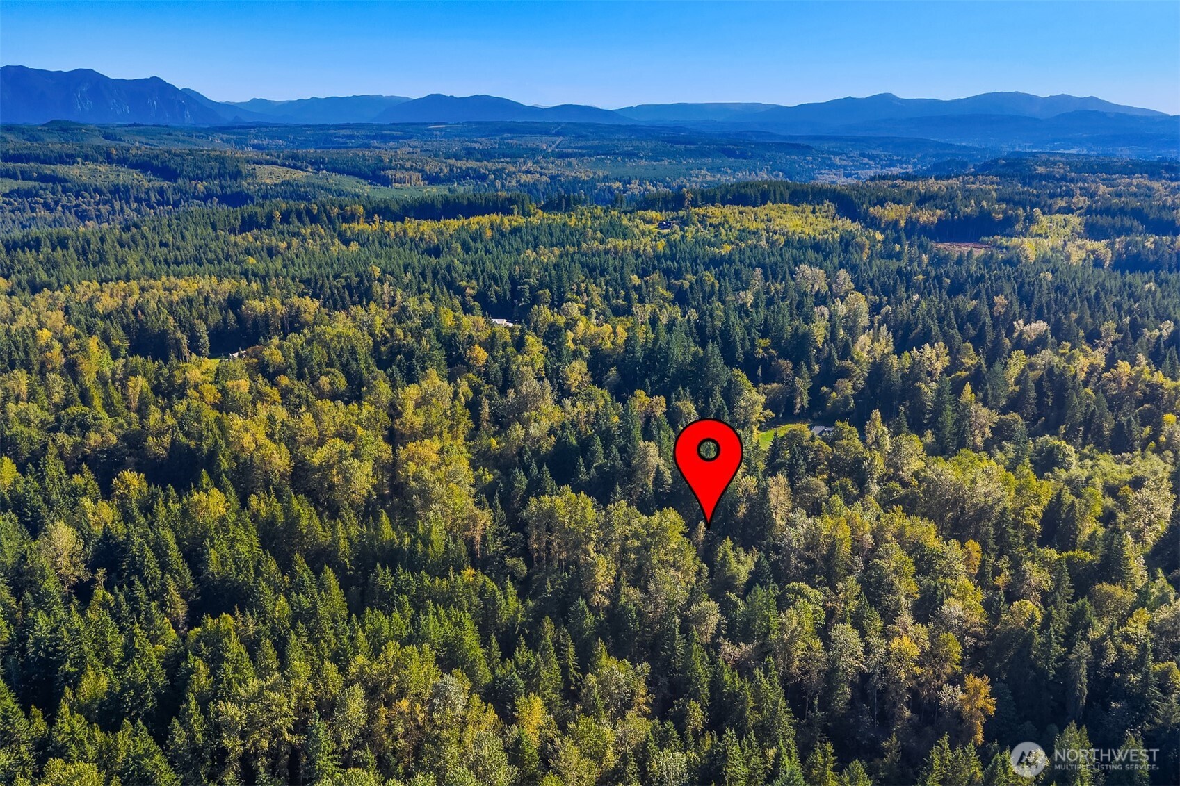 358-xx Northeast Moss Lake Road Carnation, WA 98014 - Photo 21 of 31 a view of a area with a forest