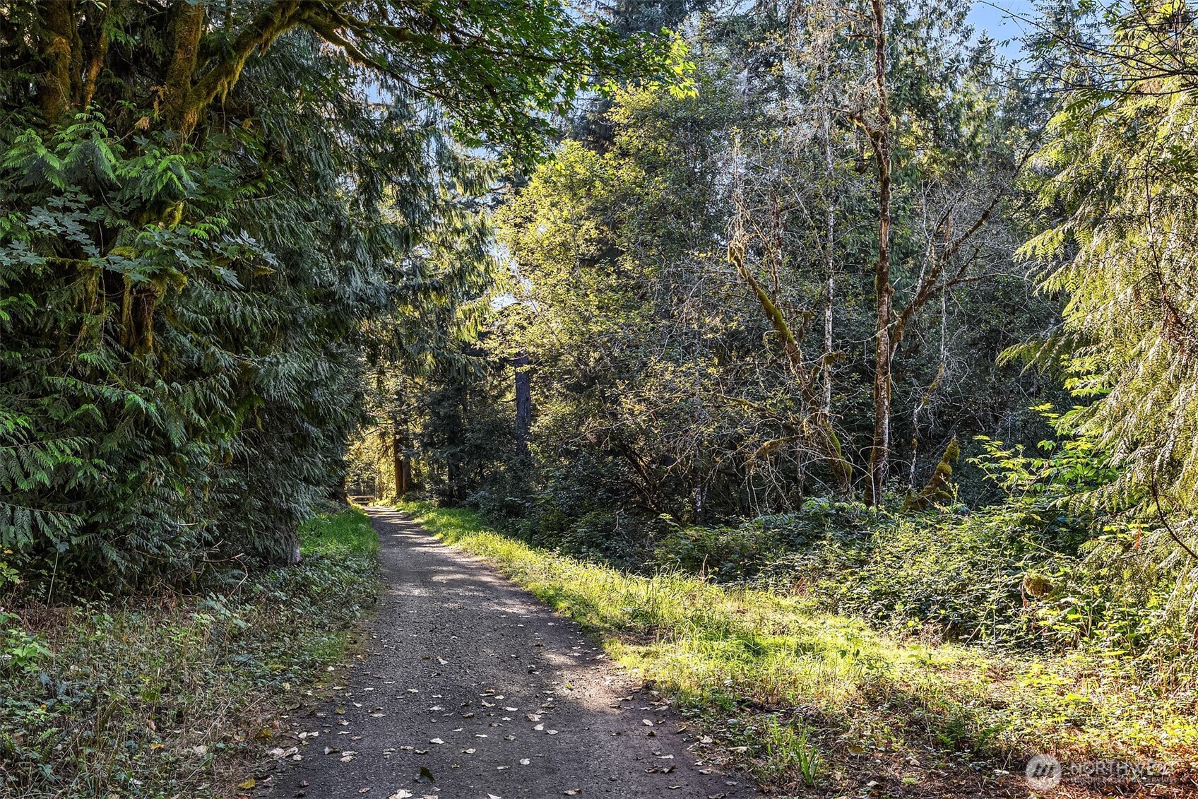 358-xx Northeast Moss Lake Road Carnation, WA 98014 - Photo 24 of 31 a view of a yard with plants and large trees