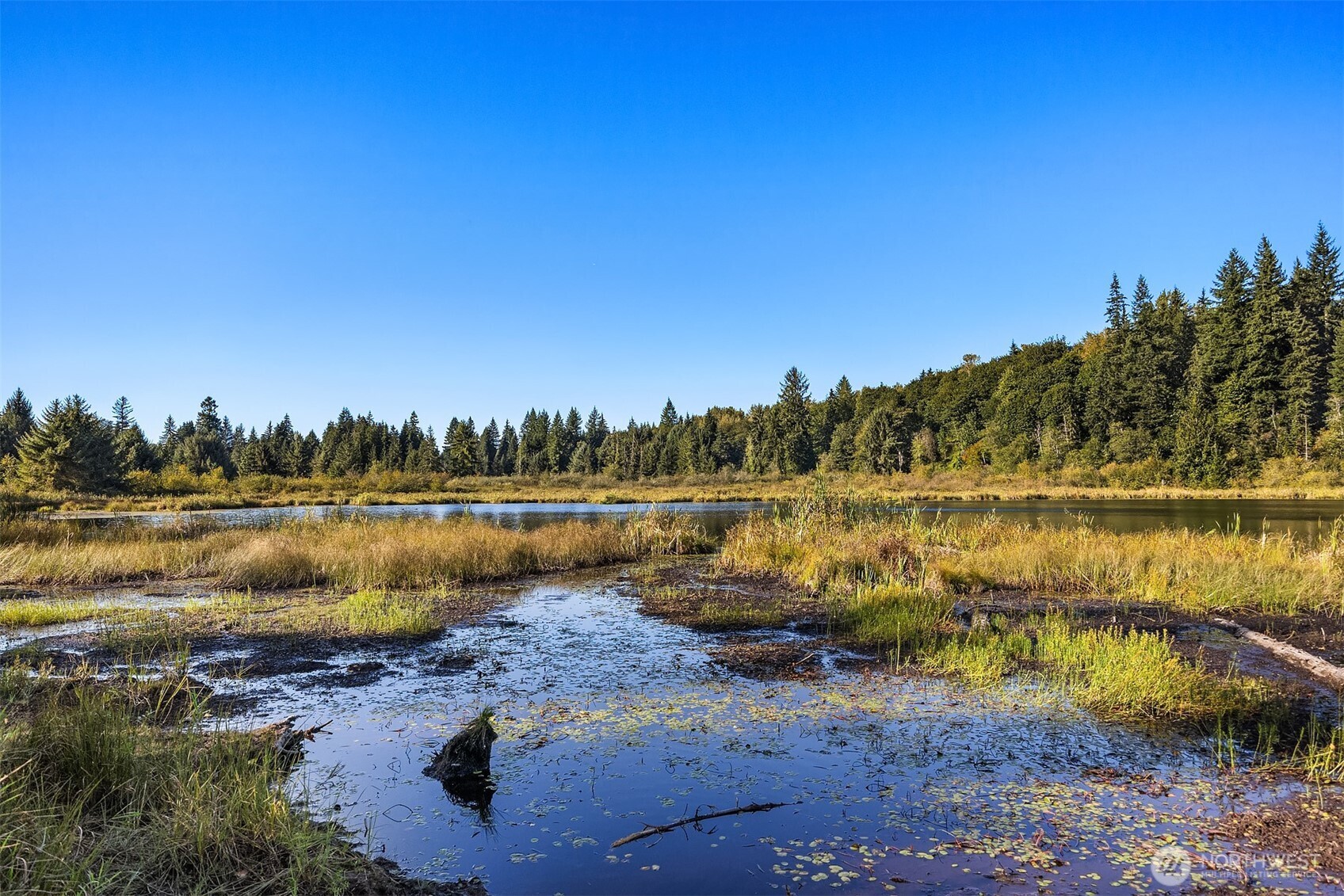 358-xx Northeast Moss Lake Road Carnation, WA 98014 - Photo 25 of 31 a view of a lake with houses in the back