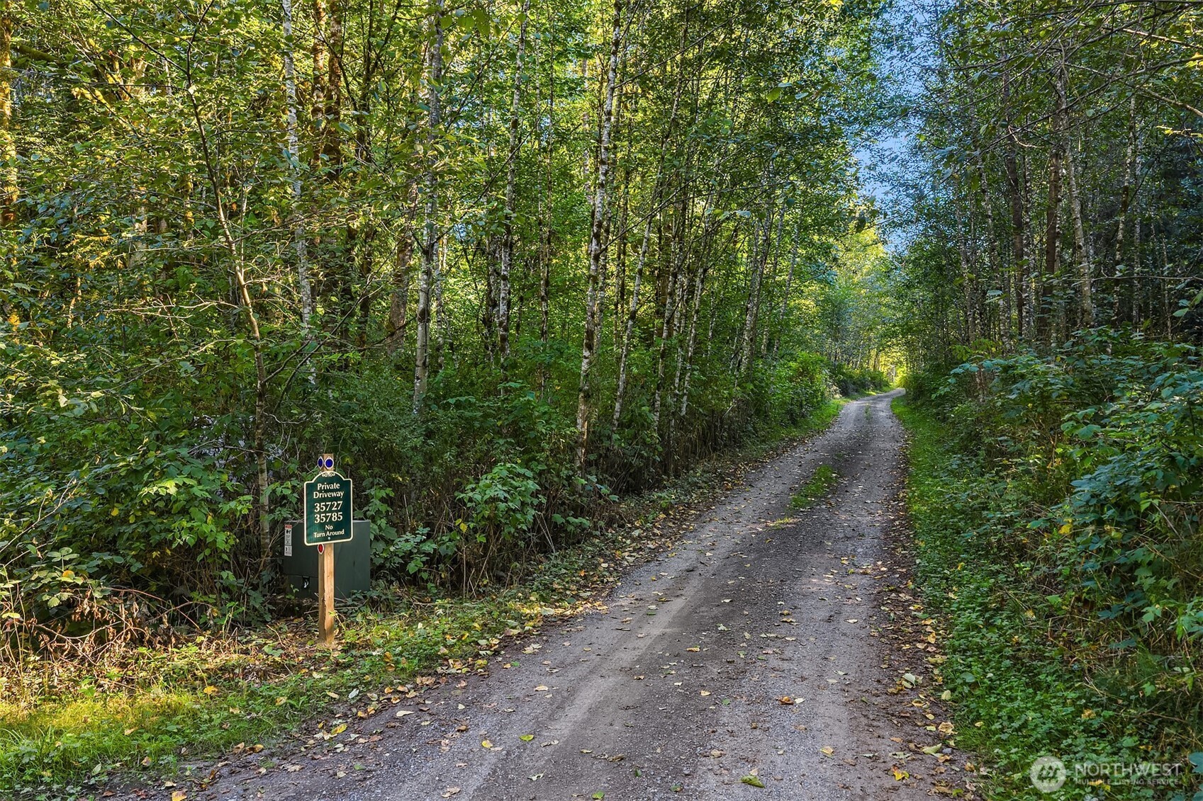 358-xx Northeast Moss Lake Road Carnation, WA 98014 - Photo 4 of 31 a big yard with lots of green space and plants