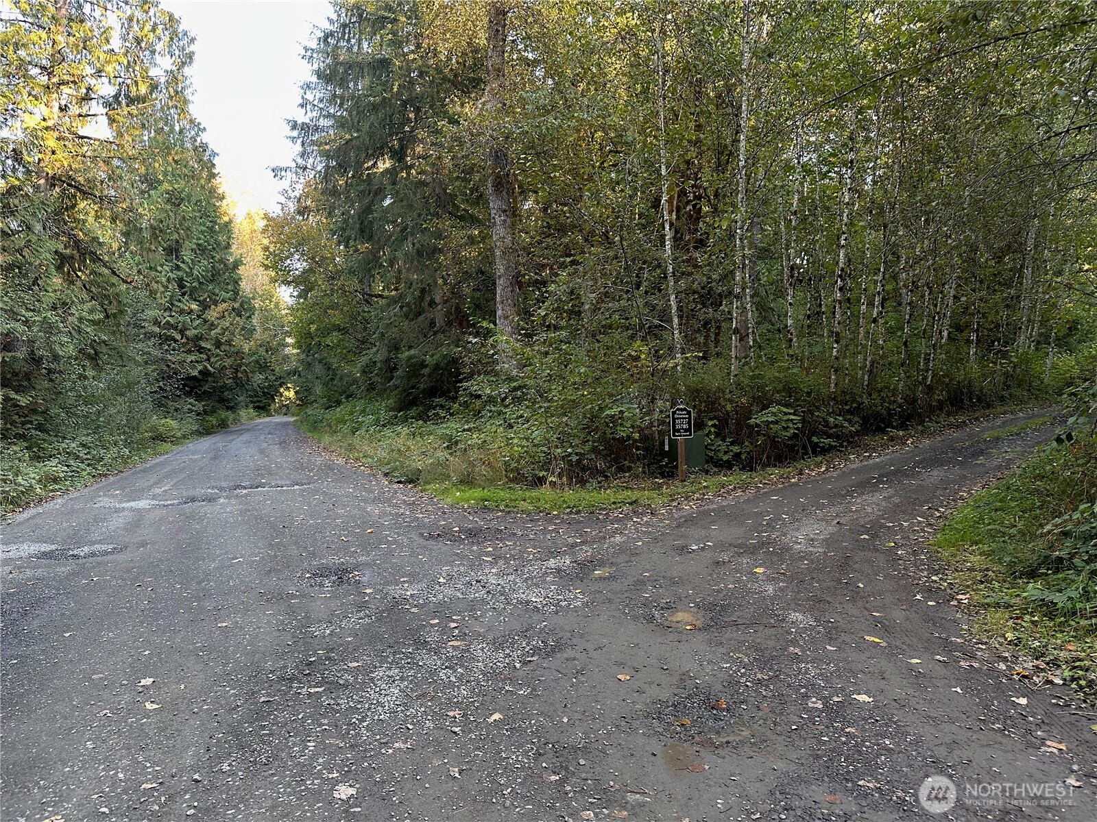 358-xx Northeast Moss Lake Road Carnation, WA 98014 - Photo 5 of 31 a view of a forest with trees in the background