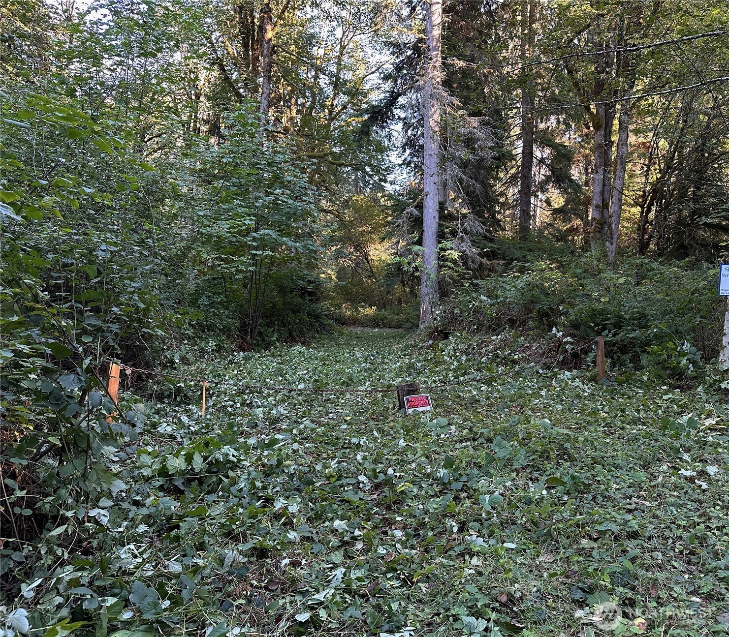 358-xx Northeast Moss Lake Road Carnation, WA 98014 - Photo 6 of 31