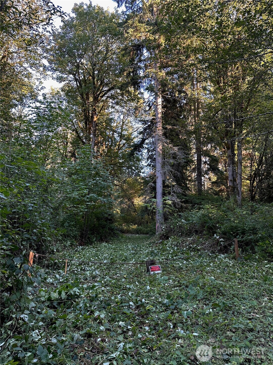 358-xx Northeast Moss Lake Road Carnation, WA 98014 - Photo 7 of 31 a big yard with lots of green space and house in the back
