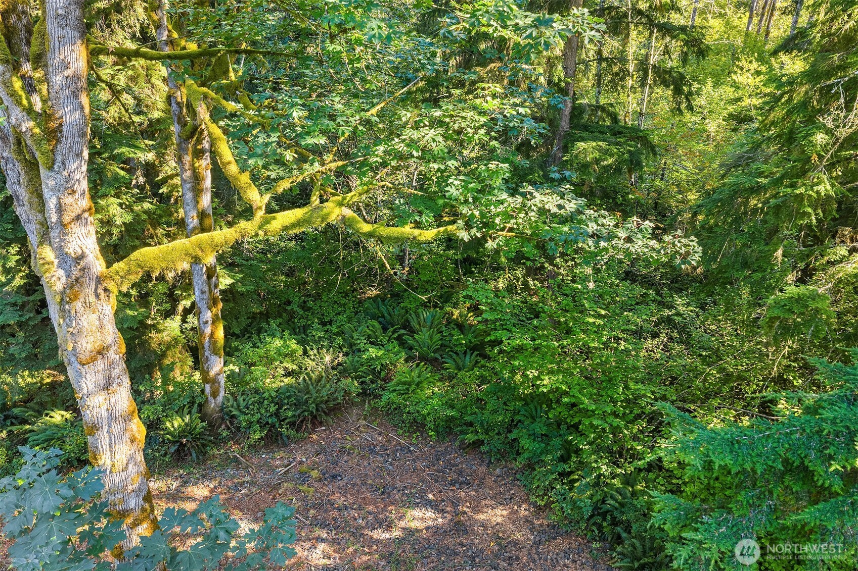358-xx Northeast Moss Lake Road Carnation, WA 98014 - Photo 9 of 31 a view of a yard