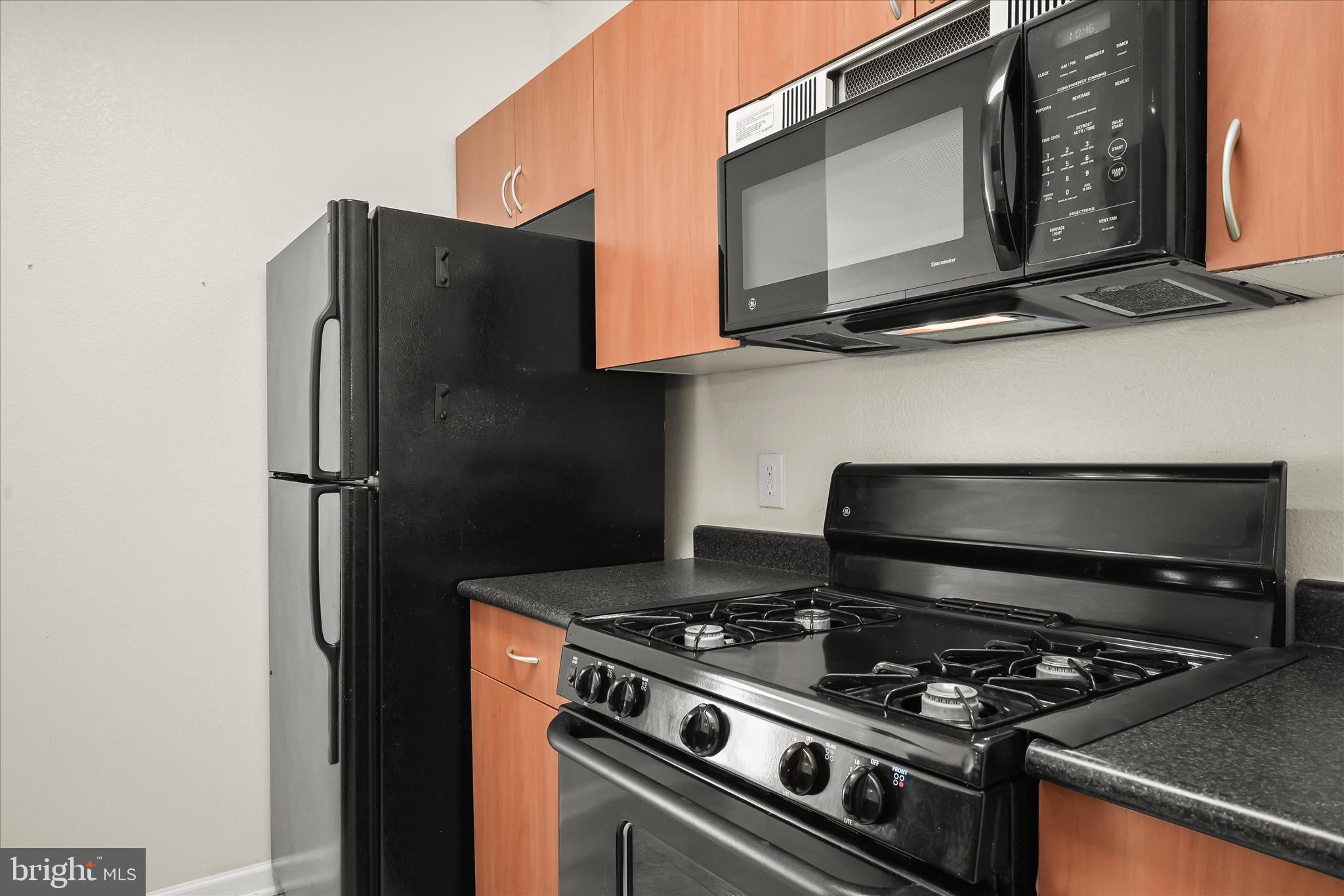 19620 Galway Bay Circle, Unit 302 Germantown, MD 20874 - Photo 17 of 36 a kitchen with stainless steel appliances granite countertop a stove and a microwave