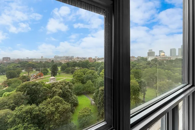 a view of a green yard from balcony