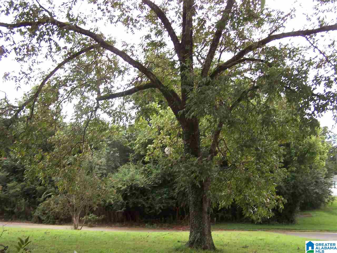 2640 1st Street Trafford, AL 35172 - Photo 8 of 30